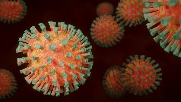 Tudo o que Você Precisa Saber Sobre Coronavírus Em Crianças