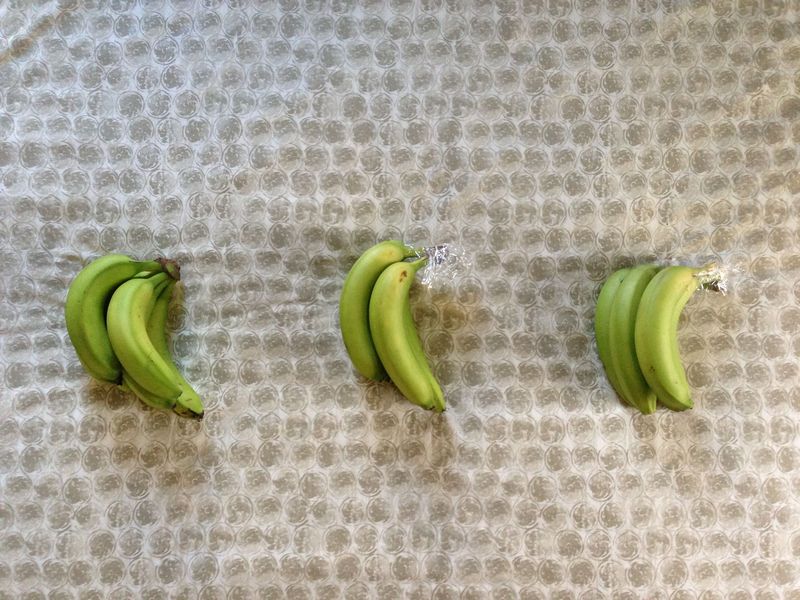 pais24hs.com - Aprenda agora como impedir que as bananas amadureçam tão rapidamente