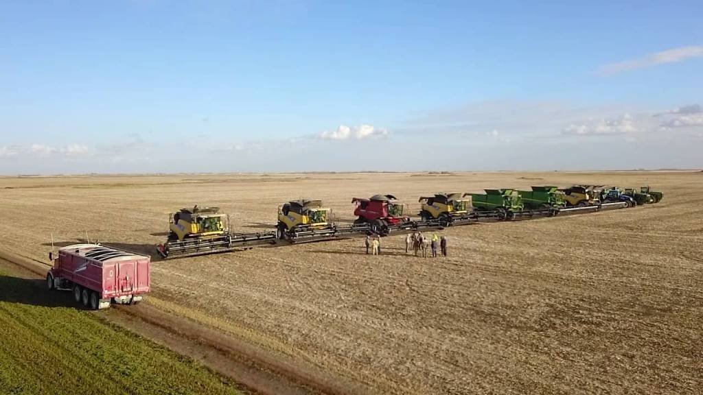 Vizinhos agricultores se unem para fazer a colheita do vizinho que estava com a filha hospitalizada