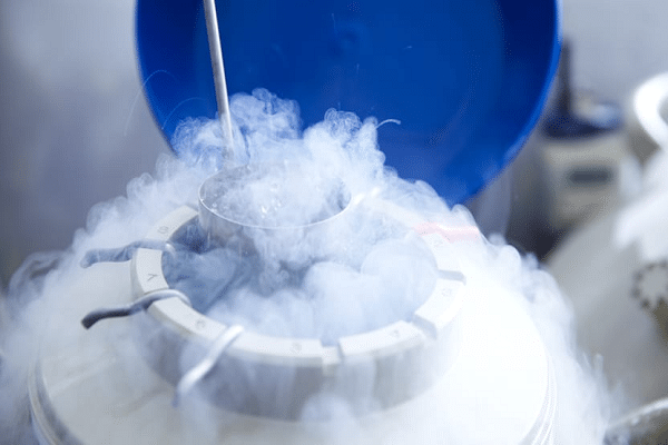 embrião congelado