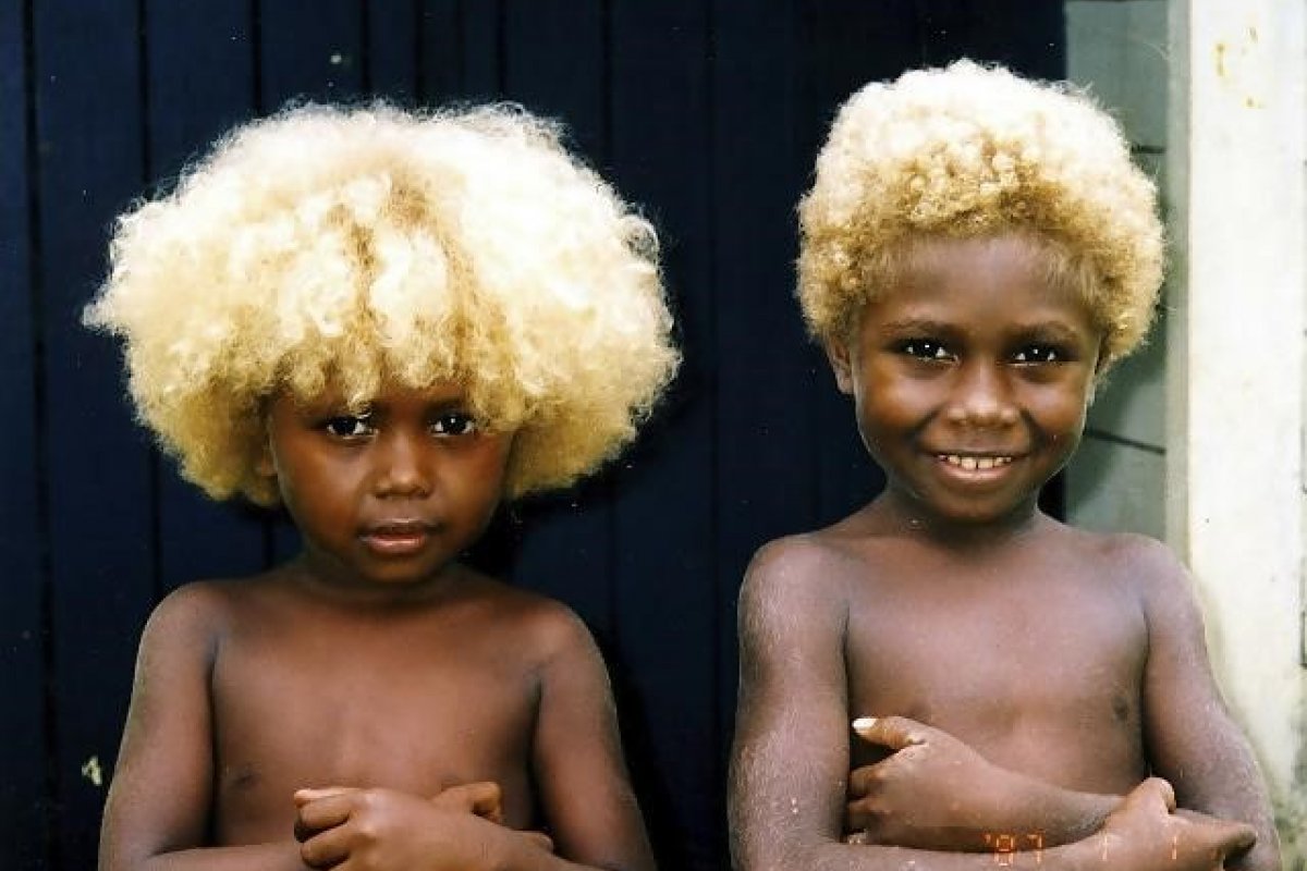 IMAGEM NOTICIA 0 - Conheça os melanésios, os únicos negros do mundo com cabelos loiros naturais