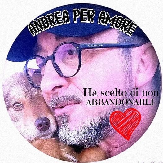 pais24hs.com - Ucrânia: homem que cuida de 400 animais se recusa a abandoná-los