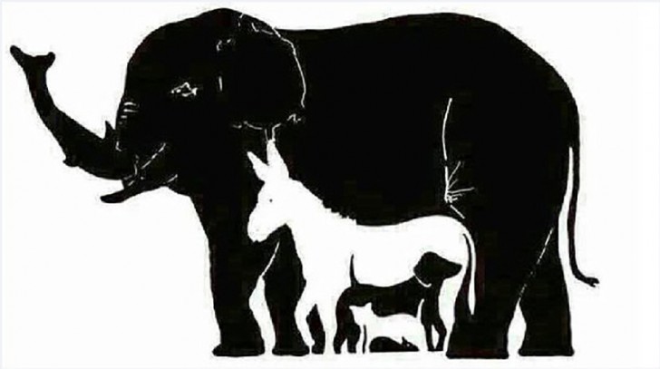 Consegue enxergar + de 6 animais na imagem, então talvez tenha inteligência acima da média pais24hs.com - Consegue enxergar + de 6 animais na imagem, então talvez tenha inteligência acima da média