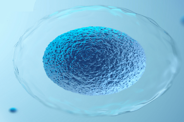 criopreservação de óvulo